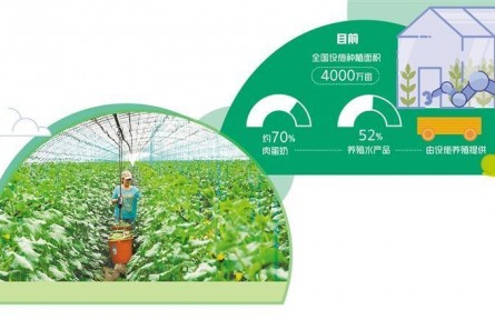 向设施农业要增量