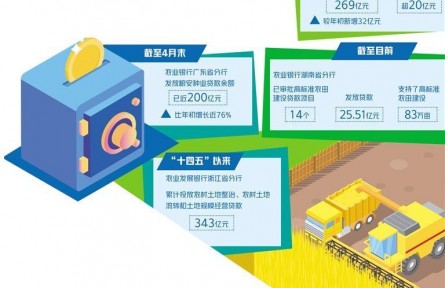 为守护“粮口袋”贡献金融力量