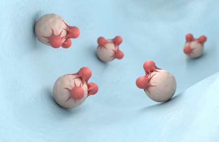 科技名词 | 抗原  antigen