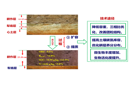 8.冬小麦秸秆还田“两旋一深”增产增效技术