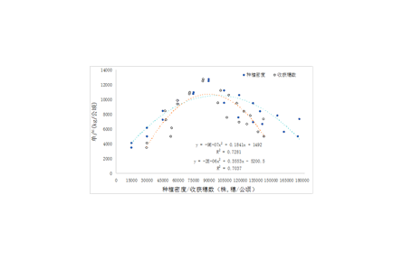 10.密植夏玉米籽粒机械收获生产技术规程