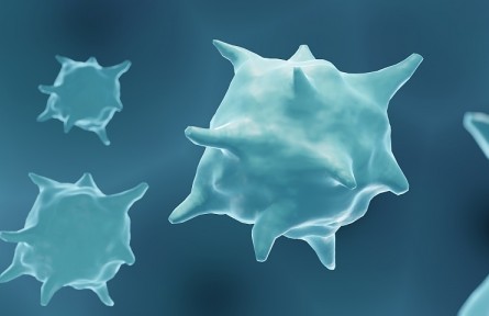 科技名词 | 肿瘤坏死因子  tumor necrosis factor，TNF