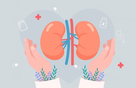 科技名词 | 肾性高血压 renal hypertension