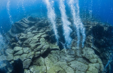 科技名词 | 海底热液 submarine hydrothermal solution