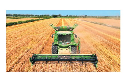 外媒：中国是全球粮食安全的关键稳定器