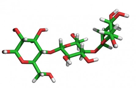 科技名词 | 纤维素酶 cellulase