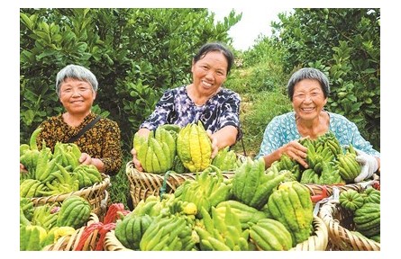 田头多了“大冰箱”