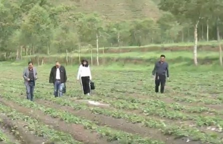 青海：畅通农牧民职称晋升通道 助力乡村人才振兴