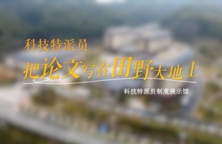 【教学点·云上看】科技特派员：把论文写在田野大地上