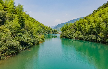 全国生态日记者行 | 点“水”亦成金——解锁浙江省杭州市余杭区青山村生态富民密码