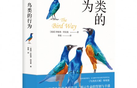 妙趣横生的鸟类私生活，颠覆你的传统认知