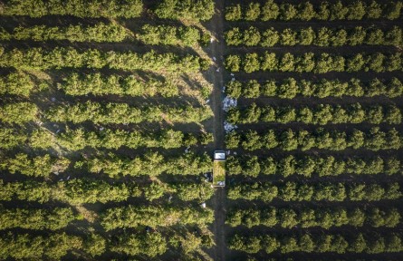 南非柑橘种植协会首席运营官保罗·哈德曼：对华水果出口增长体现南中双赢合作