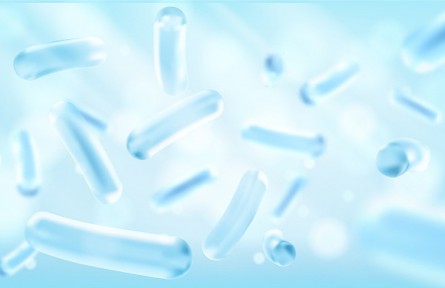 科技名词 | 益生元 prebiotics