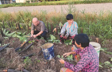 浙江台州：持续派强用好农村工作指导员