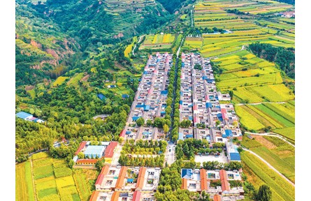 落实落细耕地保护责任 守好种好“饭碗田”