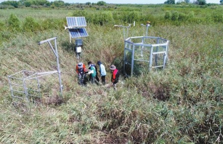 “碳”究黄河口湿地——走进黄河下游湿地滩区看生态地质调查