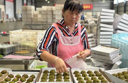 陕西：特色生态产业激活乡村振兴“新引擎”
