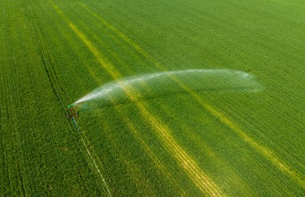 科技名词 | 引水灌溉 diversion irrigation