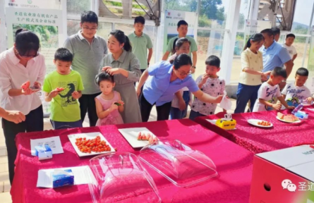 枣庄山亭区准有机果蔬品鉴会成功举办