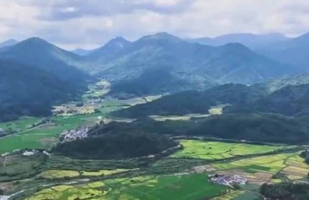 【在希望的田野上】全国秋粮陆续开镰收获