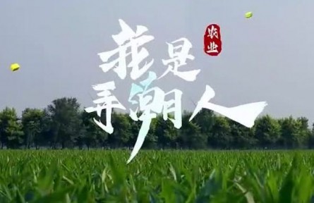 新时代 豫出彩：我是农业弄潮人