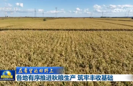 各地有序推进秋粮生产 筑牢丰收基础