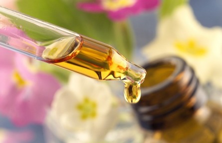 科技名词 | 萜类化合物  terpenoid