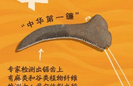 从“铲铲盘盘”中，一窥8000年前的丰收图景