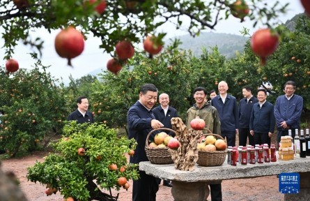 习近平在浙江考察时强调 始终干在实处走在前列勇立潮头 奋力谱写中国式现代化浙江新篇章 返京途中在山东枣庄考察