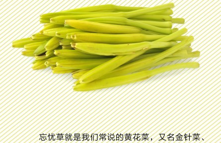 黄花菜吃不对可致中毒