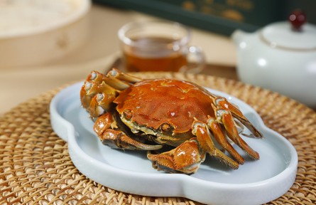 螃蟹肥美正当时 正确食用有讲究