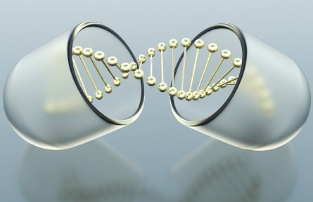 科技名词 | 基因突变 gene mutation