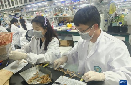 我国成功绘制水稻育种“数字地图”