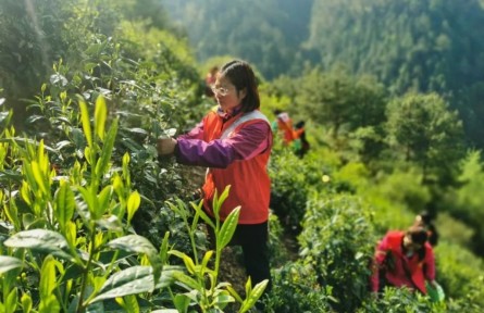 “全国三八红旗手”江紫霞：多为群众办实事，心里踏实