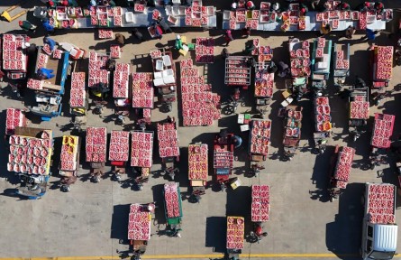 产业链上看丰收——探寻一颗苹果的上市之路