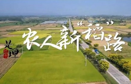 《是这个理》：农人新“稻”路