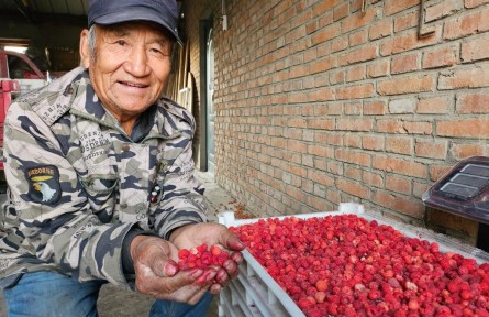 黑龙江甘南：校县共建 为农业插上科技的翅膀