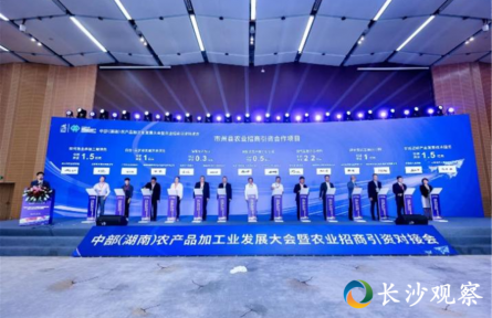 历久弥新 这届农博会“新”在哪？