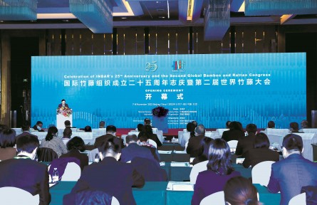 “以竹代塑”倡议提出一年来取得五大行动成果