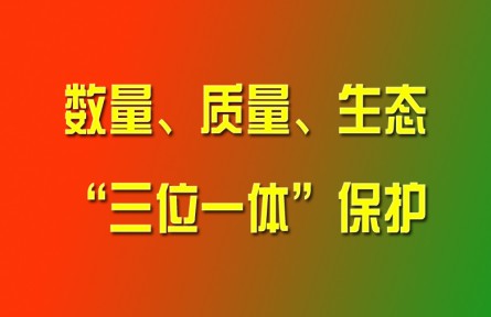 习近平论强化耕地数量、质量、生态“三位一体”保护