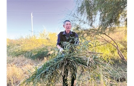 治沙老人唐八十誓把沙海变绿洲