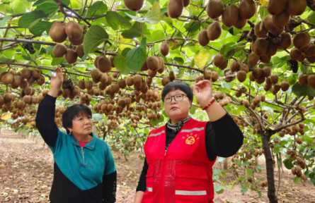 宝小平：果农的信任就是最好的奖励
