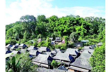 聚焦云南普洱：探秘千年茶乡景迈山