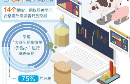期市服务“三农”能力持续增强