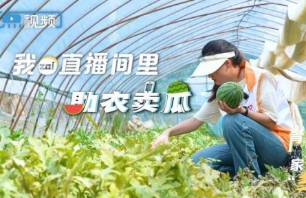 安鹏月：这位农大女研究生不一般