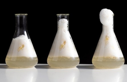 科技名词 | 芬顿试剂  fenton reagent