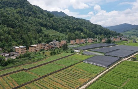 湖北恩施：新业态助力乡村振兴