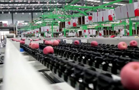 陕西：科技赋能 “智慧”支撑 助推农产品提质增效