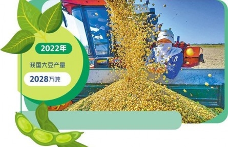 做强做优中国大豆