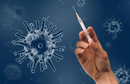 胸腺是免疫器官，那胸腺肽就可以提高免疫力吗？